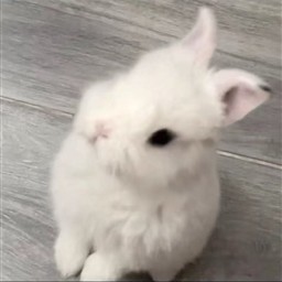 云熙